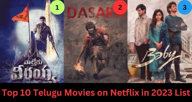 Top 10 Telugu Movies on Netflix in 2023 List